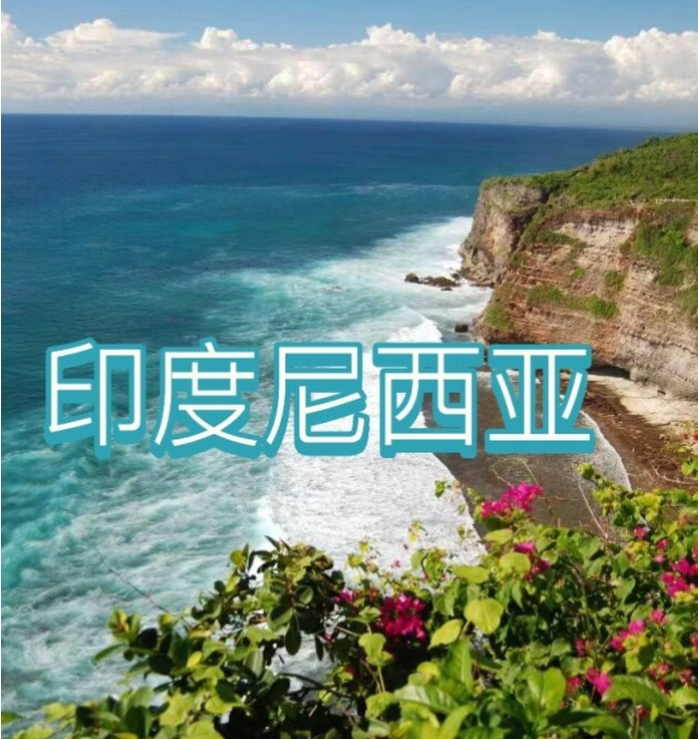 国际电商(印尼)产业博览会不朽情缘MG2025中国(图1)